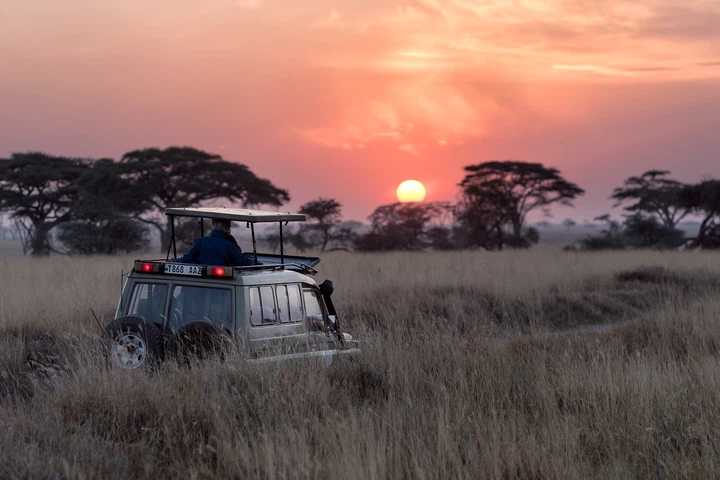 The 5 Best Safari Routes